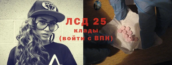 прущие грибы Абаза