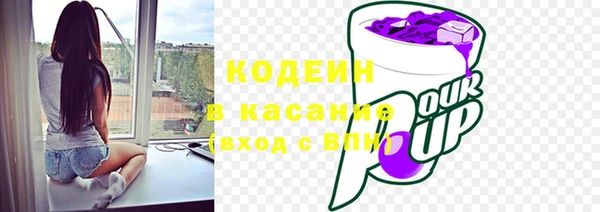 прущие грибы Абаза