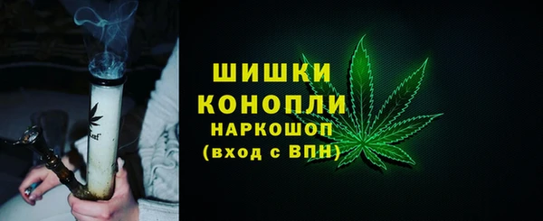 прущие грибы Абаза