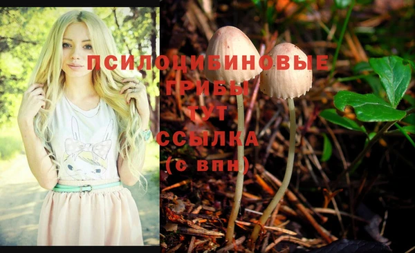 стафф Абинск