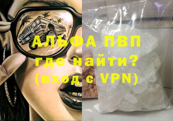 прущие грибы Абаза