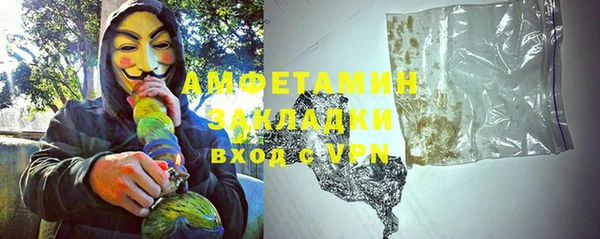 прущие грибы Абаза