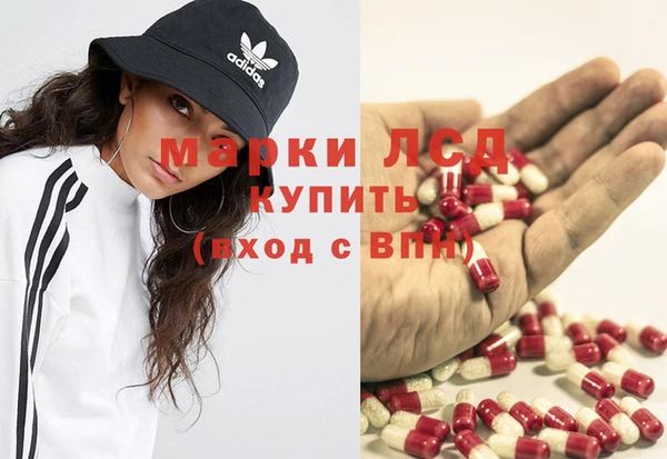 прущие грибы Абаза