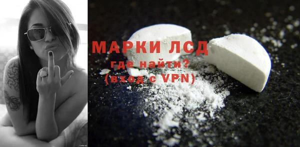прущие грибы Абаза